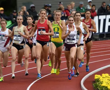 Karisa Nelson NCAA-NEW