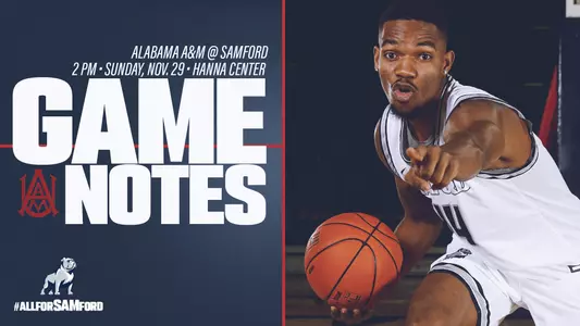 SAM-Game-Notes-AAM