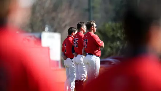 Baseball Posed