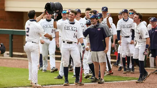 Baseball Celebration 2021