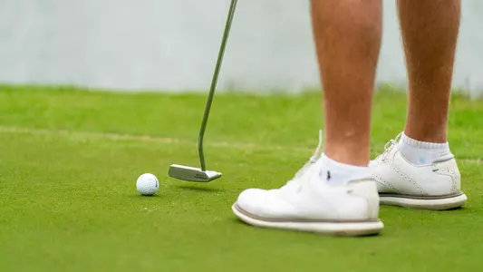 Generic Golf action