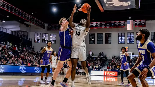 Achor Furman Preview