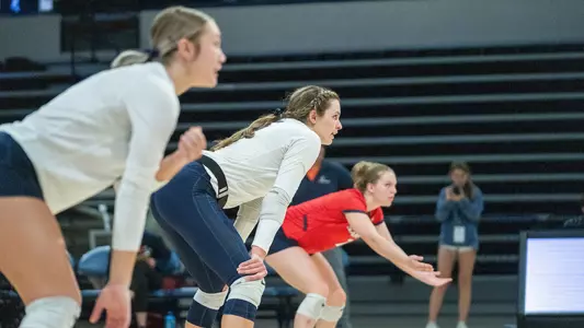VB Preview Furman & Wofford