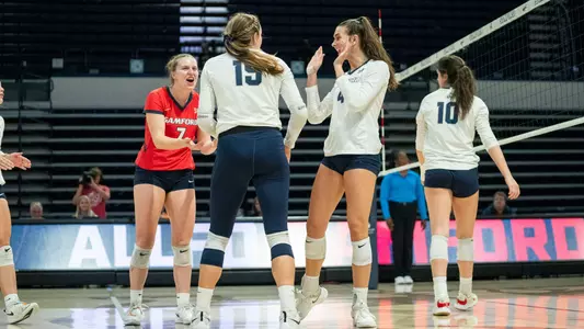 Volleyball celebration