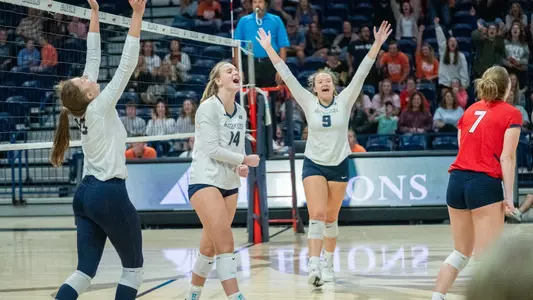 Volleyball Celebration