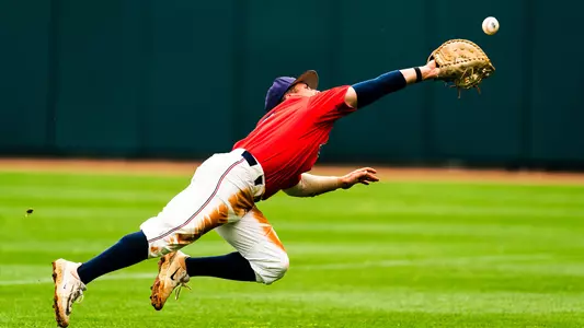 Klein Gold Glove Cover