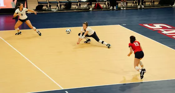 Ally home Court