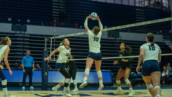 vb mercer preview 2