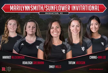 preview image sunflower