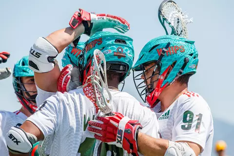 Joe Nardella Whipsnakes