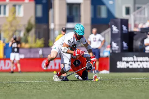 Joe Nardella Whipsnakes