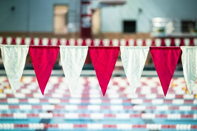 Meet Women's Swimming & Diving's Newcomers