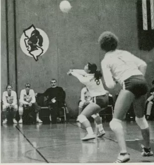 Volleyball - 1982