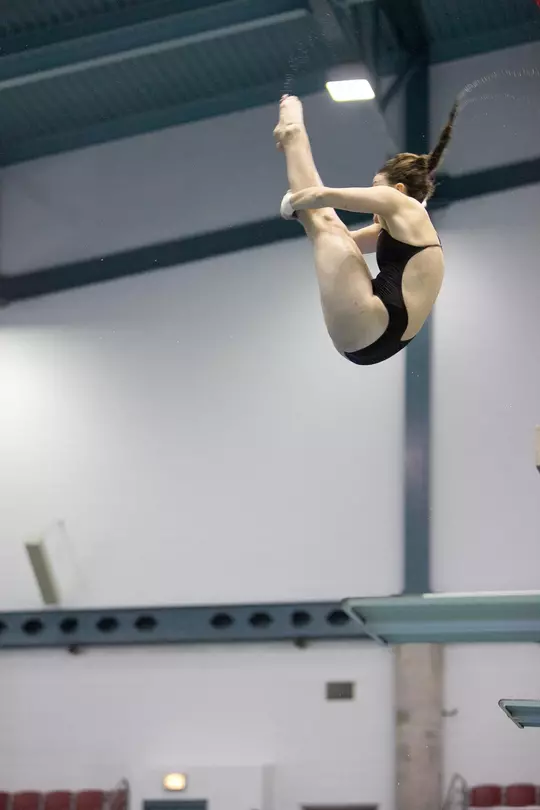 Nicole Scott - Diving