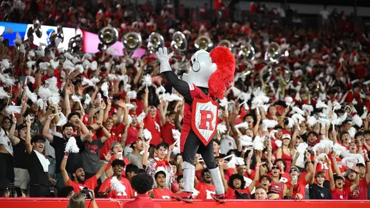 Mascot in student section