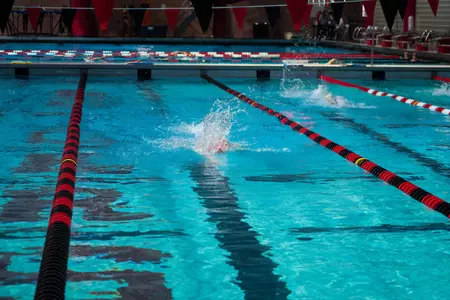 Swimming Generic Image