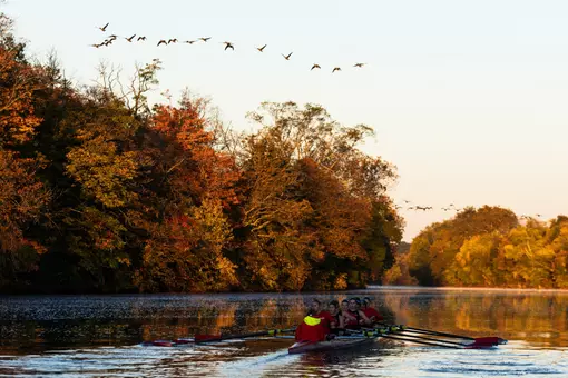 Rutgers women's rowing on the Raritan River in the fall of 2025