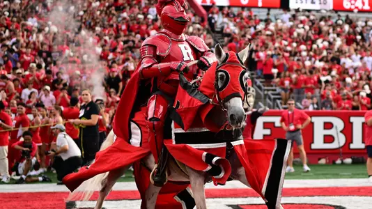 Scarlet Knight, mascot, horse