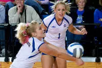 Rabbits roll Ladies in ?09 finale