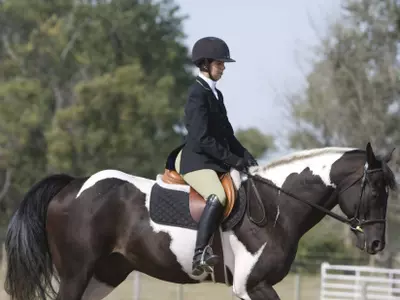 English Riders claim seven wins over the weekend