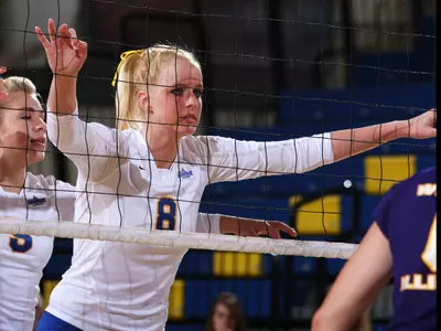 Panthers down Jackrabbits in three