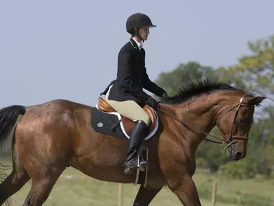 Jackrabbits ride well in a loss to South Carolina