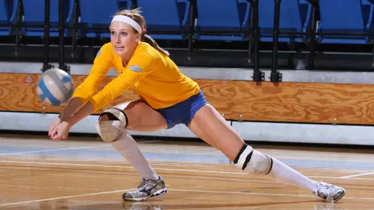 Blog #13: Ellyce Youngren