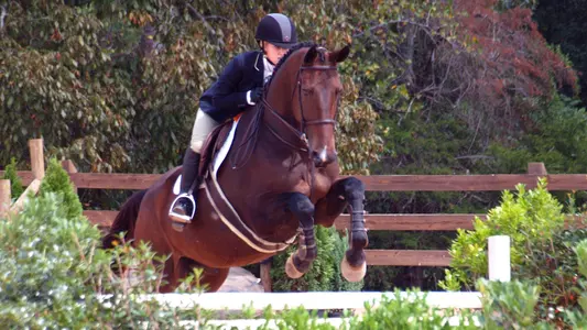 Equestrian drops opener at Baylor