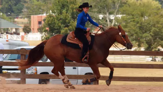 Hornets buzz Jackrabbits in Delaware