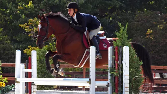 Equestrian falls to top-ranked Auburn