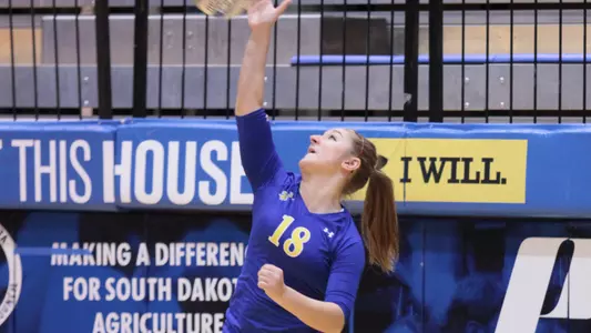 Volleyball stumbles at Western Illinois