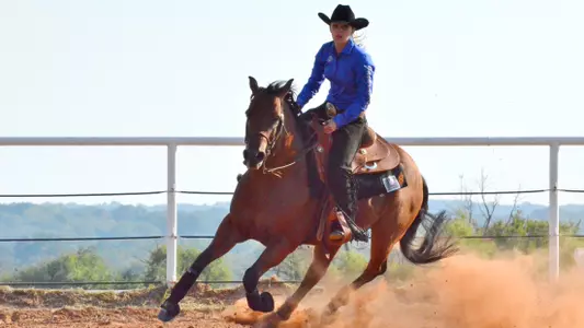Equestrian Rides Past UT-Martin