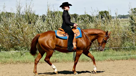 Equestrian wins tiebreaker over UT-Martin