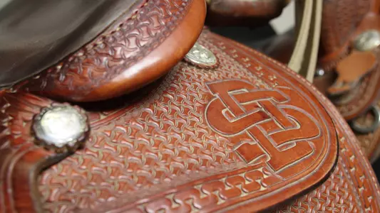 Freshman sets record in loss at Delaware State