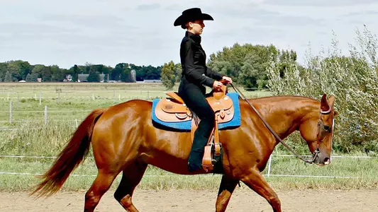 Equestrian Falls to K-State