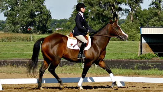 Equestrian Falls Just Short in Delaware