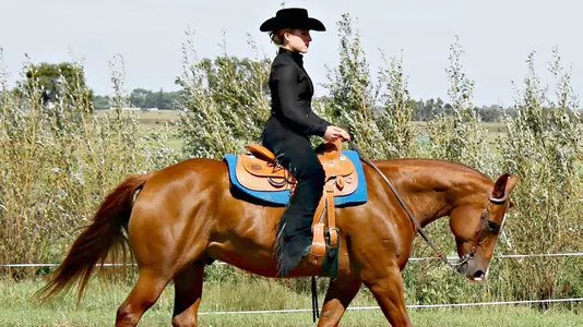Equestrian comes up short against No. 10 Aggies