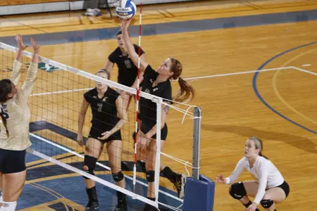 Jackrabbits sweep USD