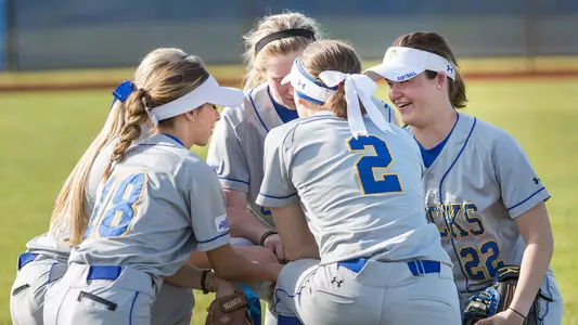 Bison Complete Softball Sweep Image