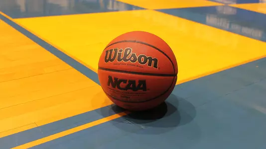 Generic Basketball 2