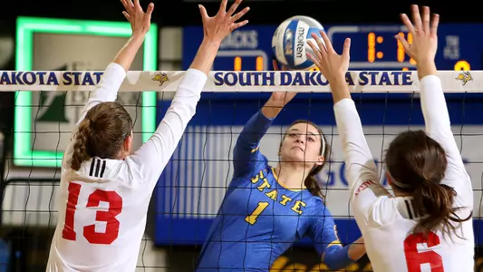 Sierra Peterson tips ball
