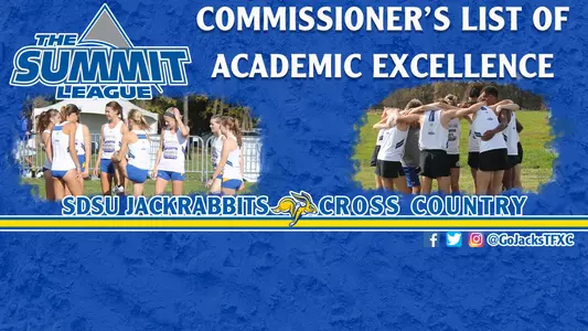 2016-17 Commissioner's Academic Excellence