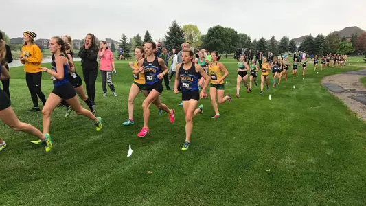 PetersonDonnayTeaser