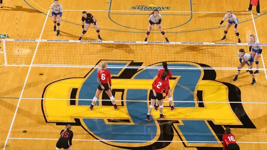 volleyball court