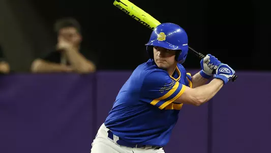 Badger Teaser 201805