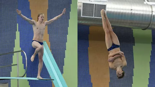 Zones Diving
