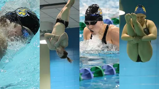 Swim Teaser 2021 Preview