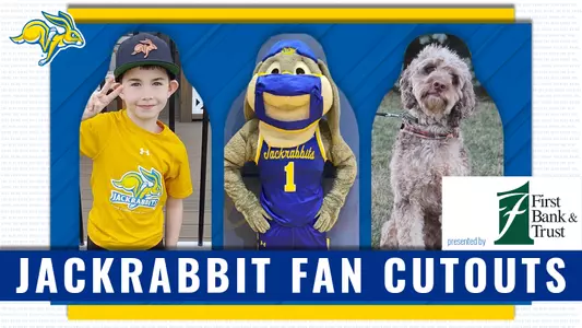 Fan Cutouts Image