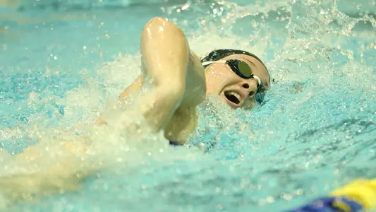 WSwim Teaser 2022-04