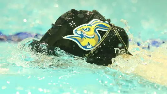 Swim Cap